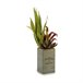 Planta Decorativa Flowers Garden Marron
