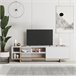 Mueble TV 1 puerta 4 huecos 160 cm CEQUOIA Blanco