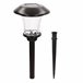 Aktive Set de 2 balizas solares LED 6 lúmenes con estaca Negro