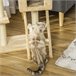 Árbol Rascador para Gatos Aglomerado de Madera, Felpa, Sisal Árbol Rascador para Gatos Aglomerado de Madera, Felpa, Sisal Beige