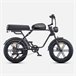 Bicicleta Eléctrica ENGWE M1 EU -  250W Batería 48V15.6AH Negro