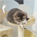 Árbol para Gatos Tablero Madera Aglomerado, Felpa y Sisal PawHut Beige