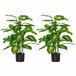 Plantas Artificiales PEVA HOMCOM, hogar - decoración Verde
