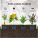 Arriate de Madera Madera de Abeto Outsunny Marron