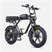 Bicicleta Eléctrica ENGWE M1 EU -  250W Batería 48V15.6AH Negro