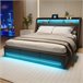 Cama doble, cama LED, USB 152x202 Cama doble, cama LED, USB 152x202 Gris