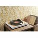 Tocadiscos TT301 Multicolor