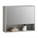 Armario de Pared con Espejo con 2 Puertas BZR134-NG SoBuy Gris