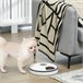 Alimentador Automático ABS, PS PawHut Blanco