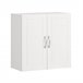 Armario Suspendido con 2 Puertas FRG231-W SoBuy Blanco