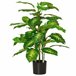 Planta Artificial PEVA, PE, Acero, Cemento HOMCOM Verde