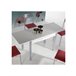 Mesa de Cocina Rectangular Extensible - Modelo SILANTA 60x100 Blanco