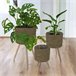 Well Home Set 3 maceteros Natural