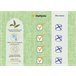 Almohada Forma de Mariposa con Gel Refrescante Verde