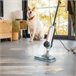 Cecotec Vaporeta vertical Hydrosteam 3030 Active Negro/ Gris