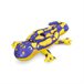 Flotador Hinchable Multicolor