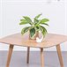 Mesa auxiliar cuadrada en madera de roble  - Northpole 80x80 Roble
