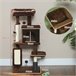 Árbol para Gatos Aglomerado de Madera PawHut Árbol para Gatos Aglomerado de Madera PawHut Marron