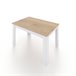 Mesa de comedor extensible Danna 123x75 Blanco/ Madera