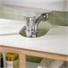 Armario Para Debajo Del Lavabo 2 Puertas BZR78-W SoBuy Blanco