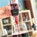 Aireador de Vino con Filtro, Soporte y Funda Transparente