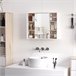 Armario Espejo MDF, Tablero de partículas HOMCOM, hogar - baño 60 Multicolor