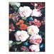 Alfombra lavable ANDRE 1629 flores vintage 120x170 Negro