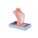Soporte Madera Adda Home Rosa