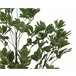 Planta artificial SCHEFFLERA marca EVERLANDS FLOWERS AND PLANTS Verde