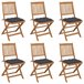 6 Sillas de jardin plegables de madera con cojines Antracita