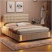 Cama contenedor acolchado, somier LED, láminas Cama contenedor acolchado, somier LED, láminas Beige