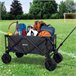 Carro plegable playa c/ruedas especial arena con carga 50 kg Aktive Negro