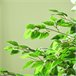 Planta Artificial PEVA HOMCOM, hogar - decoración Verde