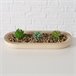 Planta artificial SUKULA marca BOLTZE Multicolor