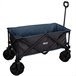 Carro plegable playa c/ruedas especial arena con carga 50 kg Aktive Negro