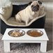 Comedero Elevado para Perros Acero Inoxidable, MDF PawHut Blanco