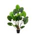 Planta artificial LICUALA marca EVERLANDS FLOWERS AND PLANTS Verde