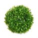 Planta Decorativa Verde