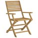 Silla De Jardín Marron