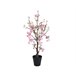 Planta artificial CEREZO ROSA marca EVERLANDS FLOWERS AND PLANTS Rosa
