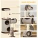Árbol Rascador para Gatos Marron