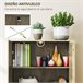 Alacena de Cocina Melamina de Madera, MDF HOMCOM, hogar - cocina Gris