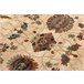 Alfombra de lana SUPERIOR LATICA 100x250 Crema