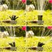 Aspersor de Riego 360º para Jardín Multicolor