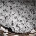 Árbol para Gatos Aglomerado de Madera, Papel, Franela de Algodón Marron
