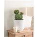Beliani Planta artificial BALL CACTUS Verde