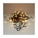 Guirnalda de Luces LED AX8401030 Verde