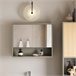 Armario de Pared con Espejo con 2 Puertas BZR134-NG SoBuy Gris