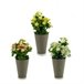 Planta Decorativa 55287 Blanco