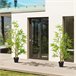 Bambús Artificiales PE, PP Outsunny, hogar - decoración Verde